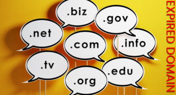 Apakah Domain Kadaluwarsa Benar-Benar Ampuh? Ini Bukti dan Caranya!